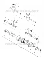 PISTON AND ALBERO MOTORE (TRAIL) (4909500950033A)