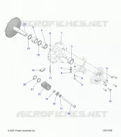 TRASMISSIONE, PRIMARY CLUTCH