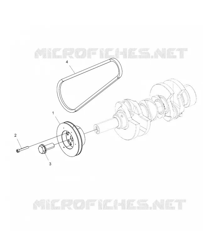 MOTORE, DRIVE PULEGGIA and DRIVE BELT