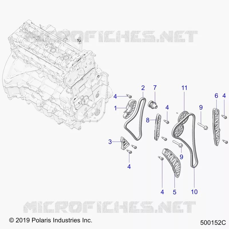 ENGINE, TIMING CATENA AND RELATED