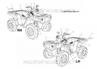 DECALS