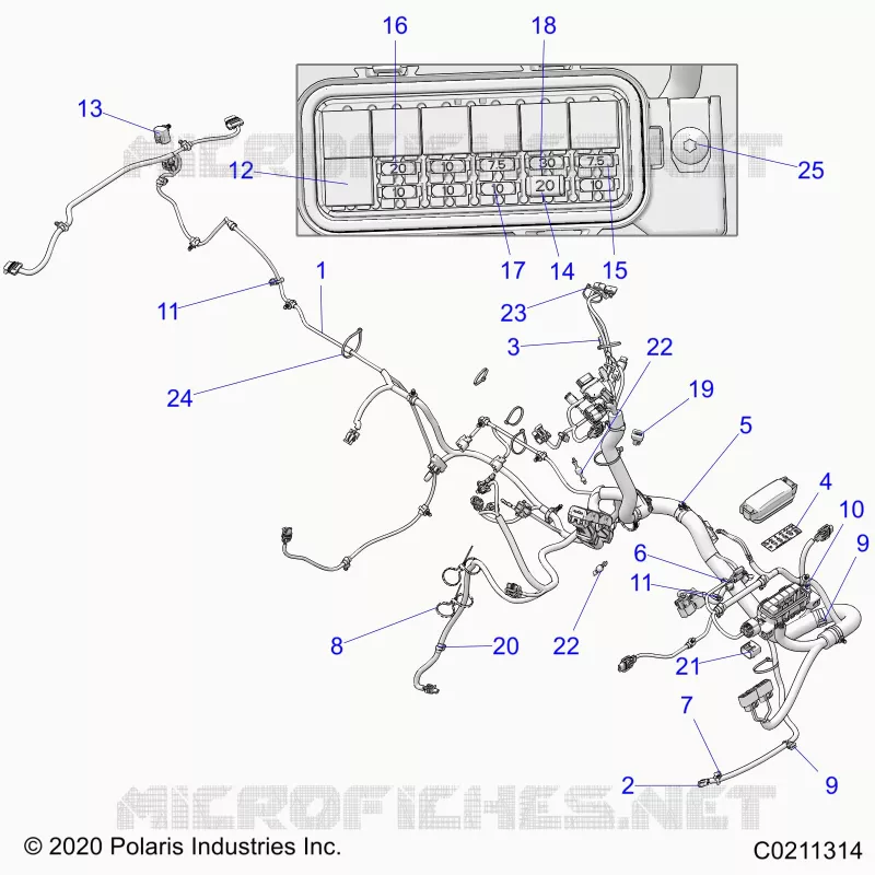 ELETTRICO, HARNESS