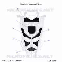 CAPPUCCIO FOAM/SEAL