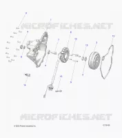 ENGINE, STATOR COVER AND FLYRUOTA