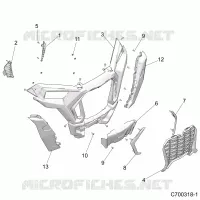 PARAURTI ANTERIORE
