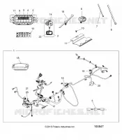 ELETTRICO, HARNESS