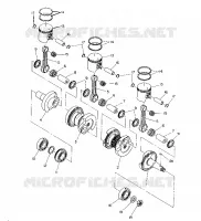 ALBERO MOTORE AND PISTONEE   500 XLT (4921662166035A)