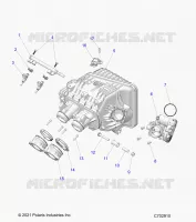 ENGINE, INTAKE MANIFOLD, CORPO FARFALLATO, FUEL RAIL