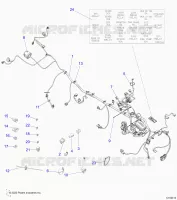 ELETTRICO, HARNESS