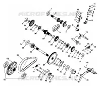 SCATOLA DEGLI INGRANAGGI (Internal Components)