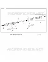 DRIVE TRAIN, ANTERIORE ALBERO