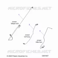 ELETTRICO, JUMPER WIRES