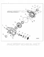 DRIVE TRAIN, POSTERIORE GEARCASE INTERNALS