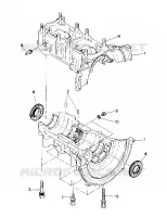 CARTER  Trail (4919281928025A)