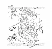 PISTONEEE   ALBERO MOTORE  WIDETRAK (4921302130037A)