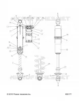 IFS SHOCK, (SNOW CHECK) (7044384)
