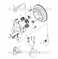 MAGNETO ASSEMBLY 250 2X4/W927527 (4922862286038A)