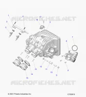 ENGINE, INTAKE MANIFOLD, CORPO FARFALLATO, FUEL RAIL