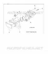 BARKE PINZA, FRONT