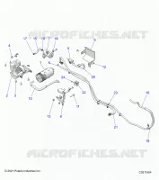 SISTEMA DI ALIMENTAZIONE CARBURANTE, FUEL TANK EVAP SYSTEM