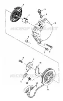 AUTOAVVOLGENTE