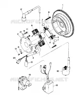 MAGNETO ASSEMBLY (4913511351043A)