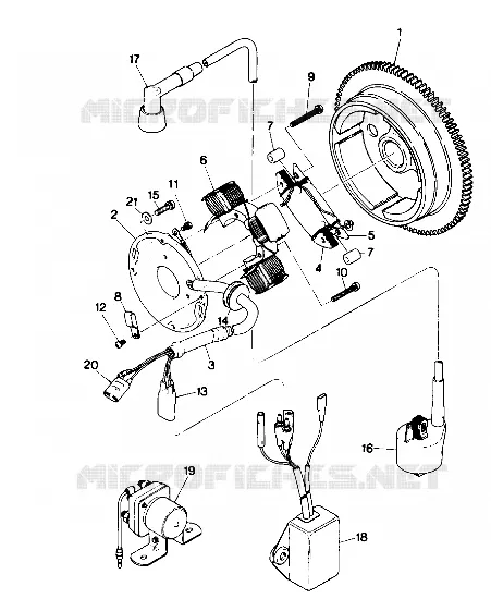 MAGNETO ASSEMBLY (4913511351043A)