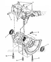 CARTER ASSEMBLY SPORT SKS E940243 (49273627360027)