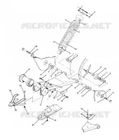 SWING ARM WELDMENT AND AMMORTIZZATORE POSTERIORE  ASSEMBLY (4916331633021A)