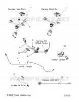 ELETTRICO, JUMPERS/WIRE HARNESS