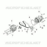 ENGINE, ALTERNATORE AND COMPRESSOR