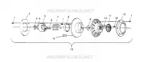 FRIZIONE DRIVEN ASSEMBLY 440 0952760, 440 SKS 0952560,  and EUROPEAN 440 SKS (4929032903C002)