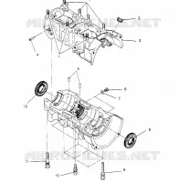 CARTER 440 0962760 (4931743174C005)