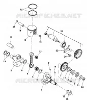 ALBERO MOTORE AND PISTON ASSEMBLY (4918541854042A)