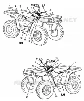DECALS XPLORER 300 W98CC28C (4945264526A009)