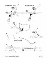 ELECTRICAL, JUMPERS/CABLAGGIO