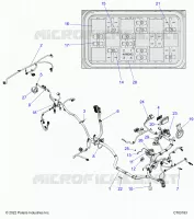 ELETTRICO, WIRE HARNESS