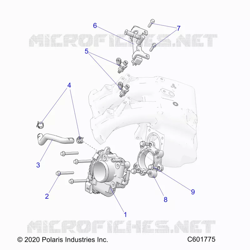 SISTEMA DI ALIMENTAZIONE CARBURANTE, THROTTLE BODY/FUEL RAIL