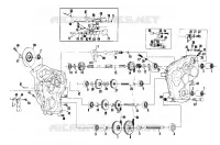 FRENO   CARTER DELLA CATENA (LTR) (4910931093013A)