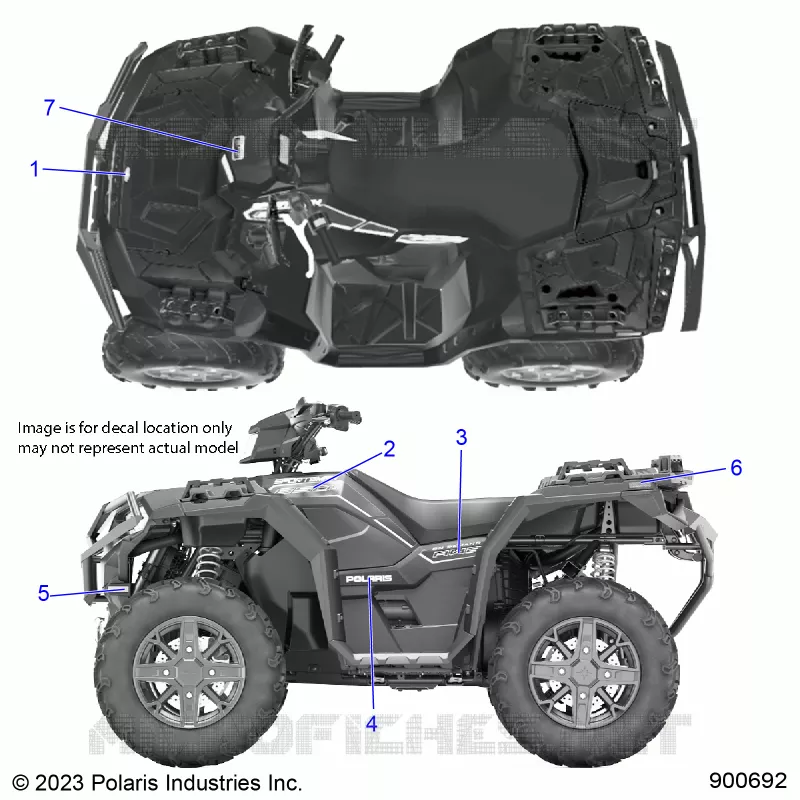 DECALSS, GRAPHIC