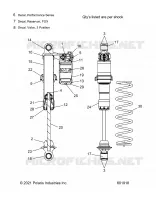 SHOCK, IFS (7045870)