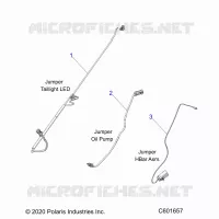 ELETTRICO, JUMPER WIRES