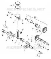ALBERO MOTORE AND PISTON ASSEMBLY (4918531853036A)