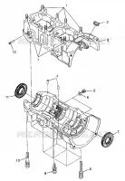 CARTER 440 LC 0972760 (4938353835C004)