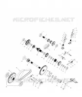 SCATOLA DEGLI INGRANAGGI (Internal Components)