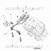 ELETTRICO, IGNITION COIL/SPARK PLUGS