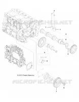 MOTORE, CAMSHAFT AND DRIVING GEAR