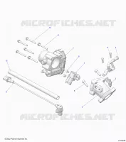 ENGINE, CORPO FARFALLATO AND FUEL RAIL