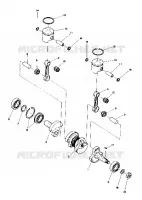 PISTON AND ALBERO MOTORE (4910961096017A)