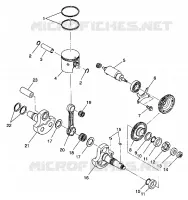 PISTONEEE   ALBERO MOTORE 6X6 350L S938739 (4924362436043A)